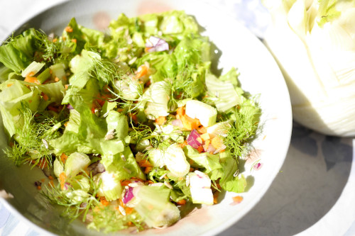 salade crudites anisee - votre dieteticienne - valerie coureau - morangis - chilly mazarin - athis mons - savigny sur orge - wissou - longjumeau - massy